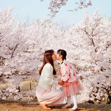 쪼기